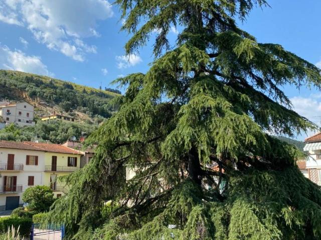 Appartamento in vendita a Prato PO
