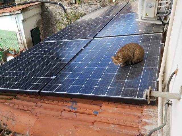 Appartamento in vendita a Pratovecchio e Stia AR