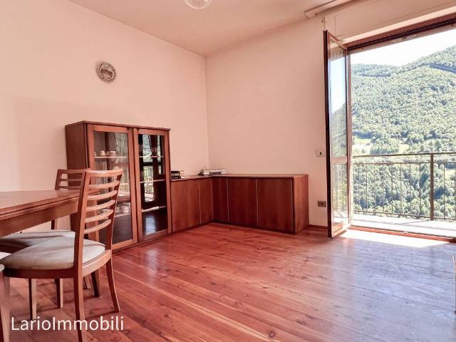 Appartamento in vendita a Premana LC