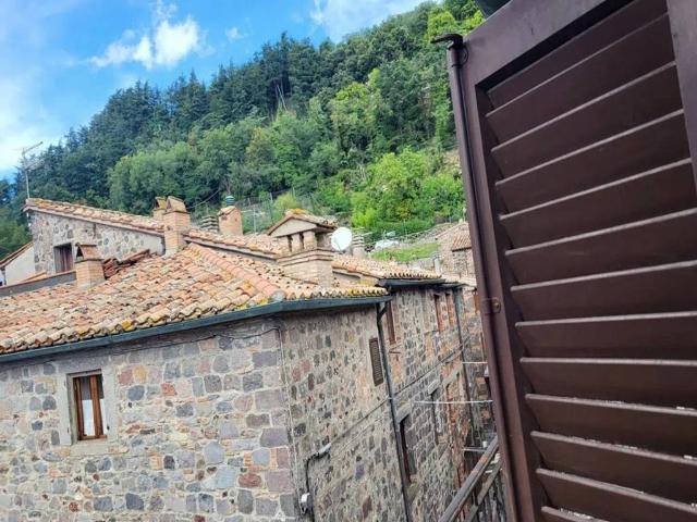 Appartamento in vendita a Radicofani SI