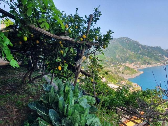 Appartamento in vendita a Ravello SA