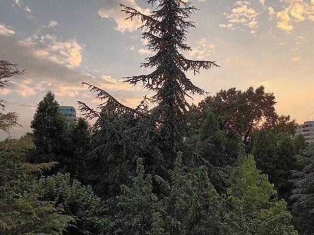 Appartamento in vendita a Reggio Emilia RE