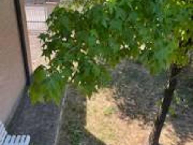 Appartamento in vendita a Reggio Emilia RE