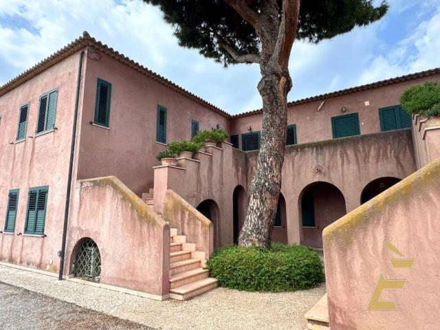 Appartamento in vendita a Ricadi VV