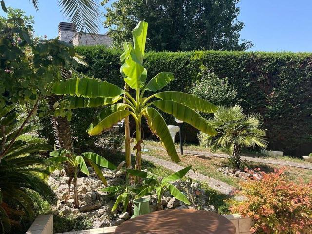 Appartamento in vendita a Riccione