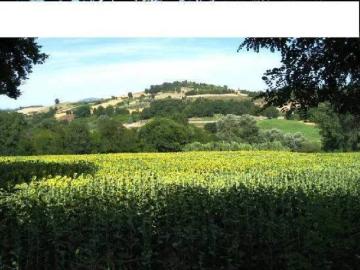 Appartamento in vendita a Rieti RI