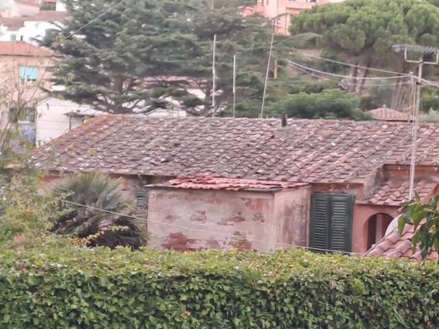 Appartamento in vendita a Rio LI