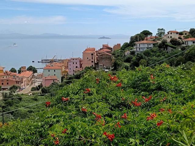 Appartamento in vendita a Rio LI