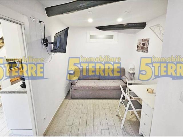 Appartamento in vendita a Riomaggiore SP