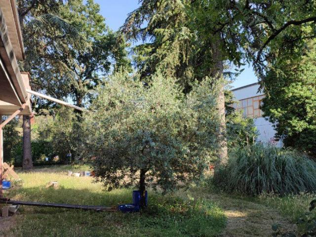 Appartamento in vendita a Rimini RN