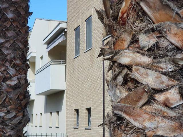 Appartamento in vendita a Ripatransone AP