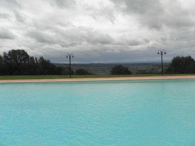 Appartamento in vendita a Riparbella PI