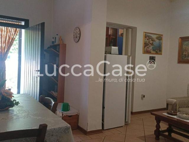 Appartamento in vendita a Riparbella PI