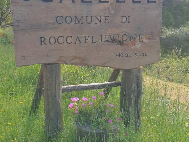 Appartamento in vendita a Roccafluvione
