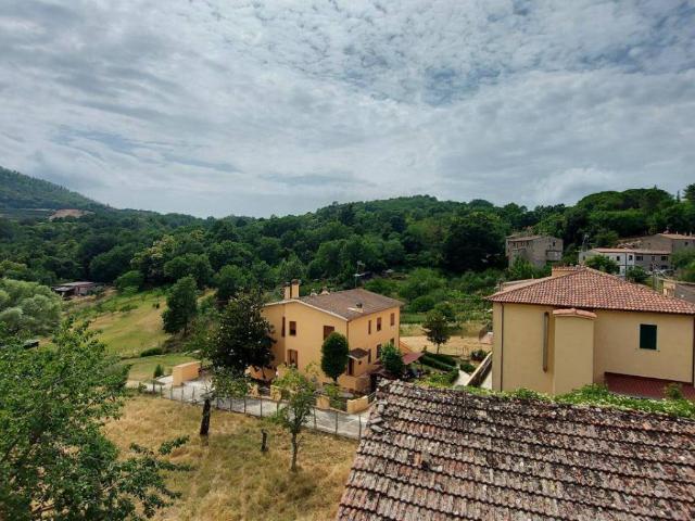 Appartamento in vendita a Roccastrada GR