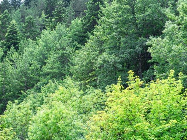 Appartamento in vendita a Roccaraso AQ