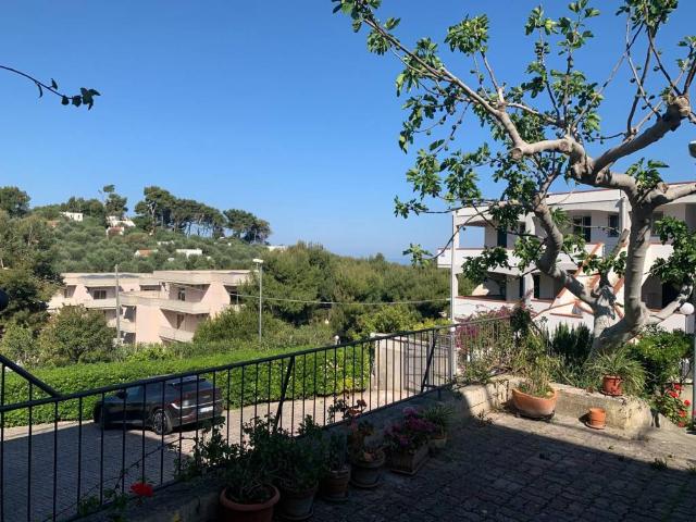 Appartamento in vendita a Rodi Garganico FG