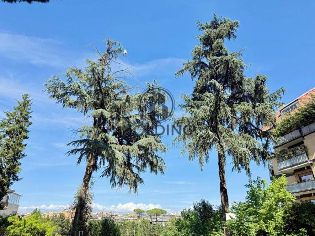 Appartamento in vendita a Roma RM