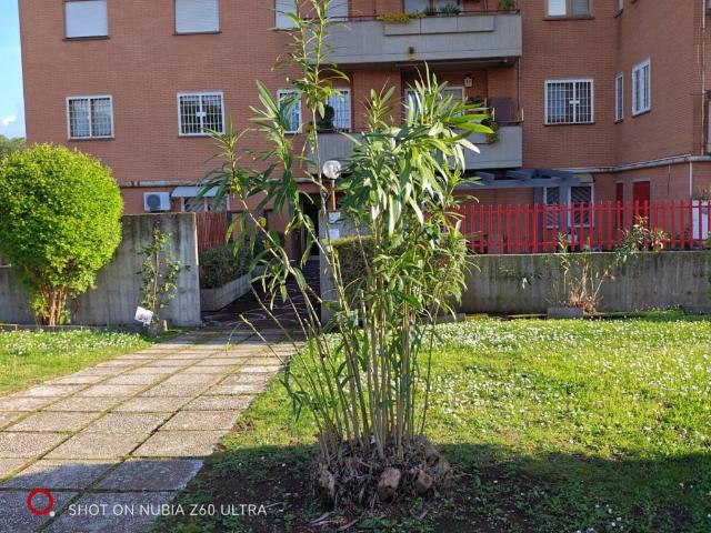 Appartamento in vendita a Roma RM
