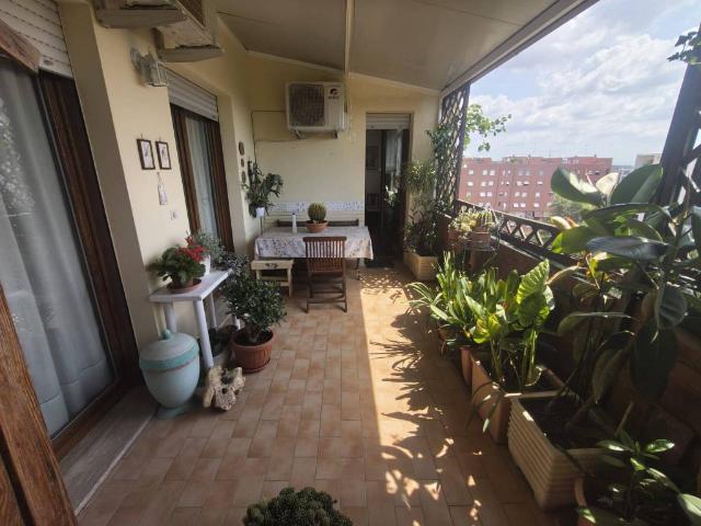 Appartamento in vendita a Roma RM