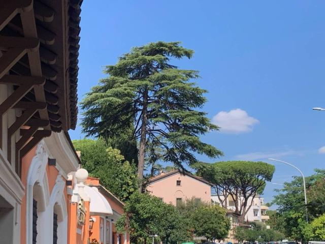 Appartamento in vendita a Roma RM