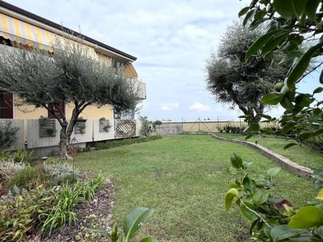 Appartamento in vendita a Ronco all'Adige VR