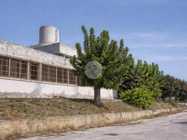 Appartamento in vendita a Roseto degli Abruzzi TE