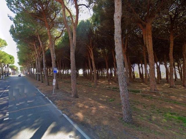 Appartamento in vendita a Rosignano Marittimo