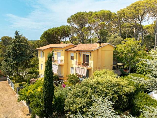 Appartamento in vendita a Rosignano Marittimo LI