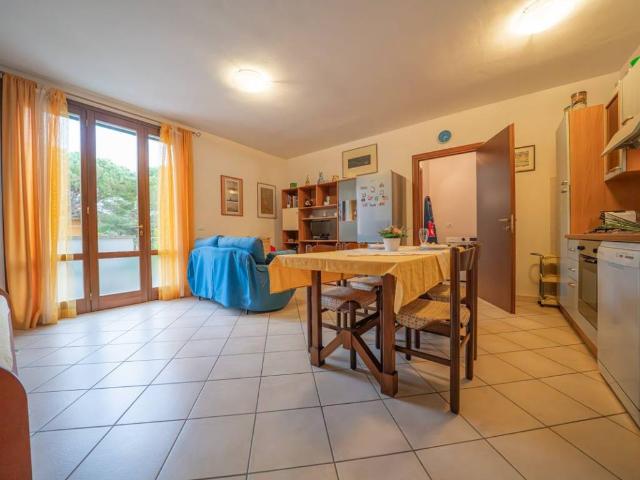 Appartamento in vendita a Rosignano Marittimo LI