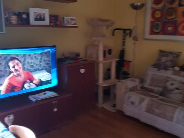 Appartamento in vendita a Rovigo RO