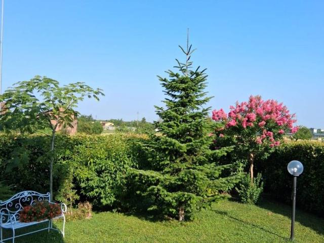 Appartamento in vendita a Stradella PV