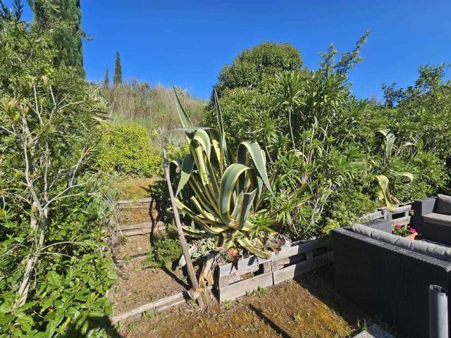 Appartamento in vendita a Suvereto LI