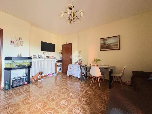 Appartamento in vendita a Suzzara MN