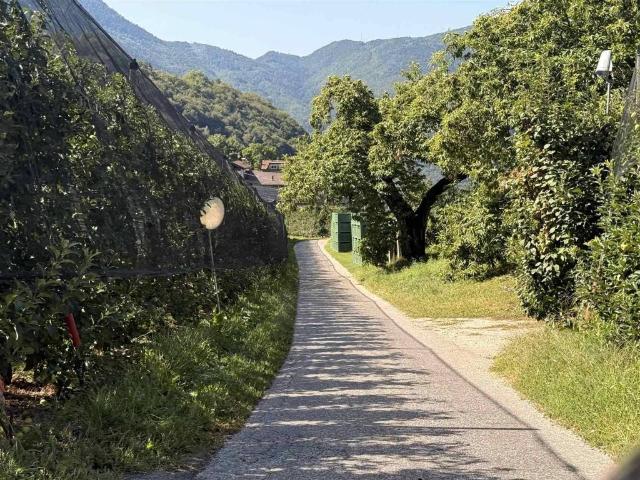 Appartamento in vendita a Salorno sulla strada del vino BZ
