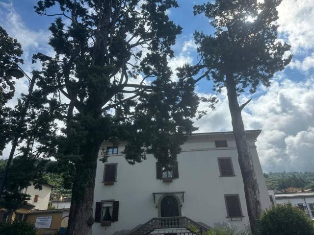 Appartamento in vendita a Sale Marasino BS