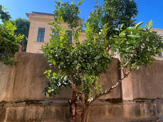 Appartamento in vendita a Salerno SA