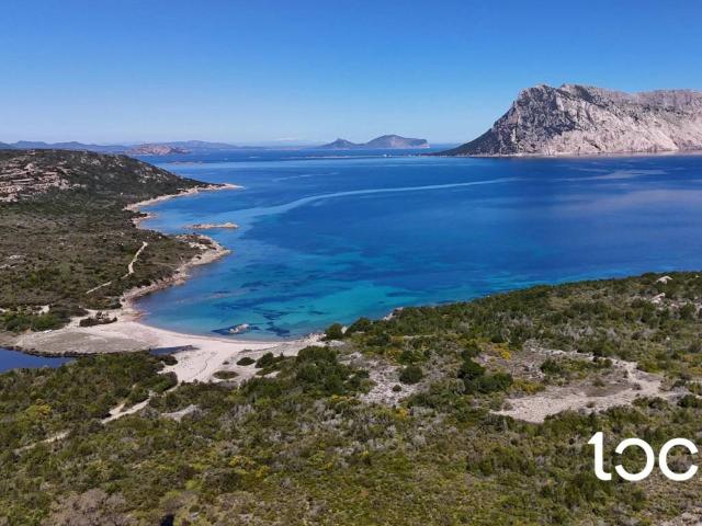 Appartamento in vendita a San Teodoro OT