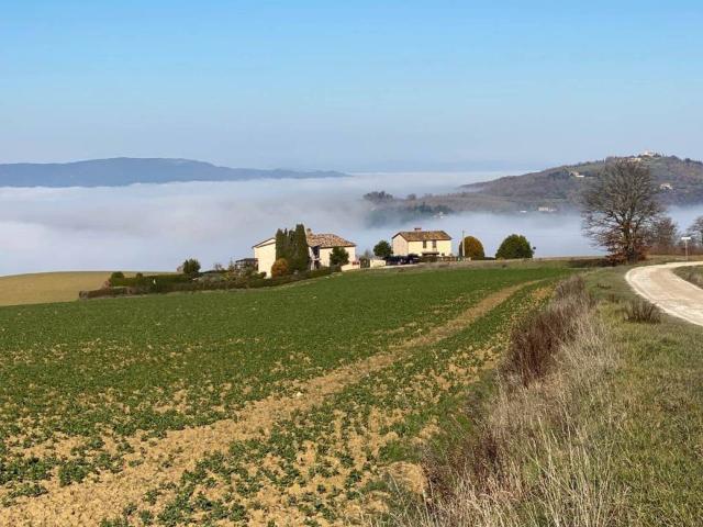 Appartamento in vendita a San Venanzo TR