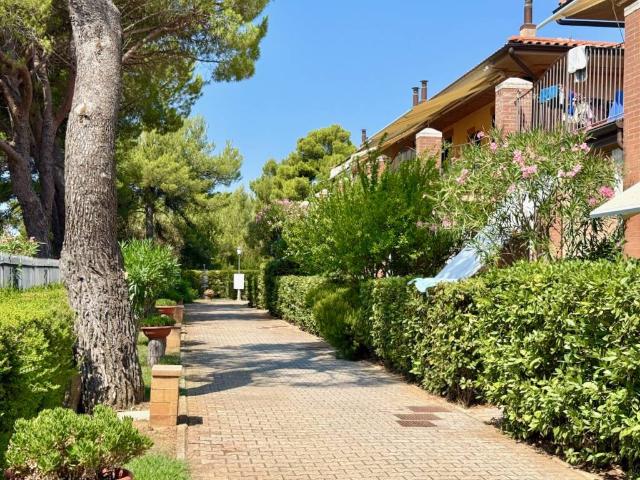 Appartamento in vendita a San Vincenzo LI