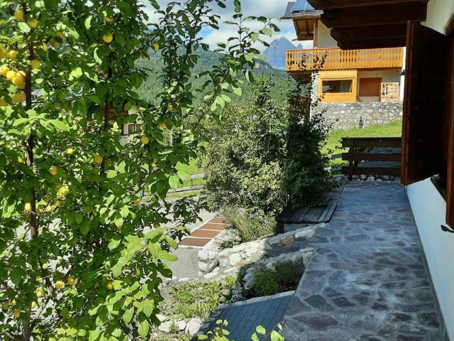 Appartamento in vendita a San Vito di Cadore BL