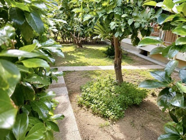 Appartamento in vendita a San Benedetto del Tronto AP