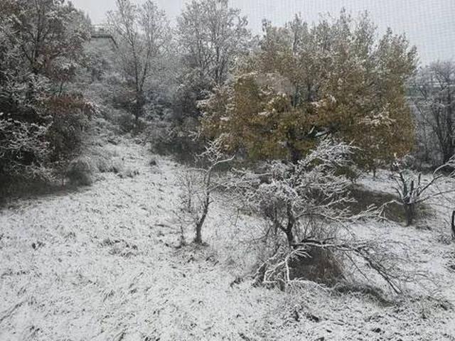 Appartamento in vendita a San Benedetto Val di Sambro BO