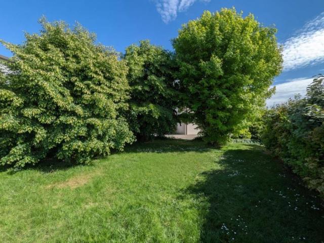 Appartamento in vendita a San Felice sul Panaro MO