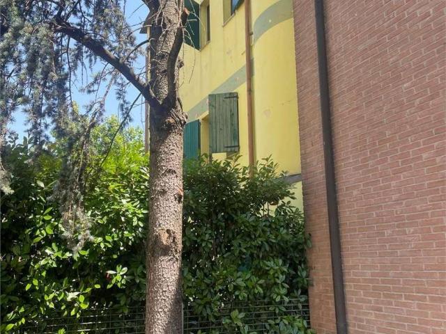 Appartamento in vendita a San Felice sul Panaro MO