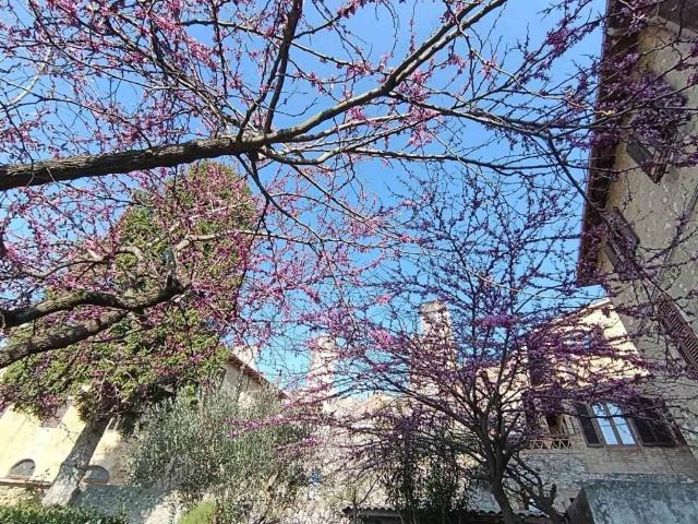 Appartamento in vendita a San Gimignano SI