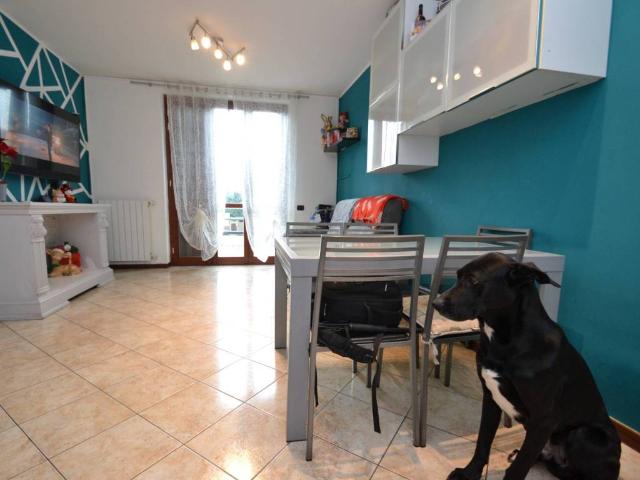 Appartamento in vendita a San Giuliano Milanese MI