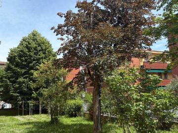 Appartamento in vendita a San Lazzaro di Savena BO