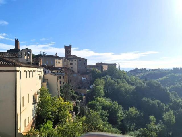 Appartamento in vendita a San Miniato