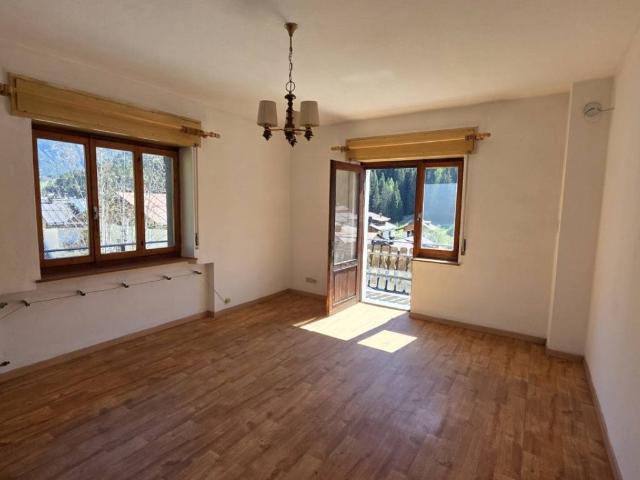 Appartamento in vendita a San Pietro di Cadore BL